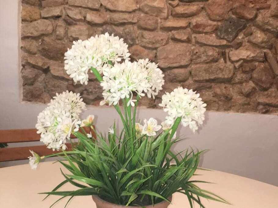 Apartament De La Susanna Old Town Mezzanine Tarragona Bagian luar foto